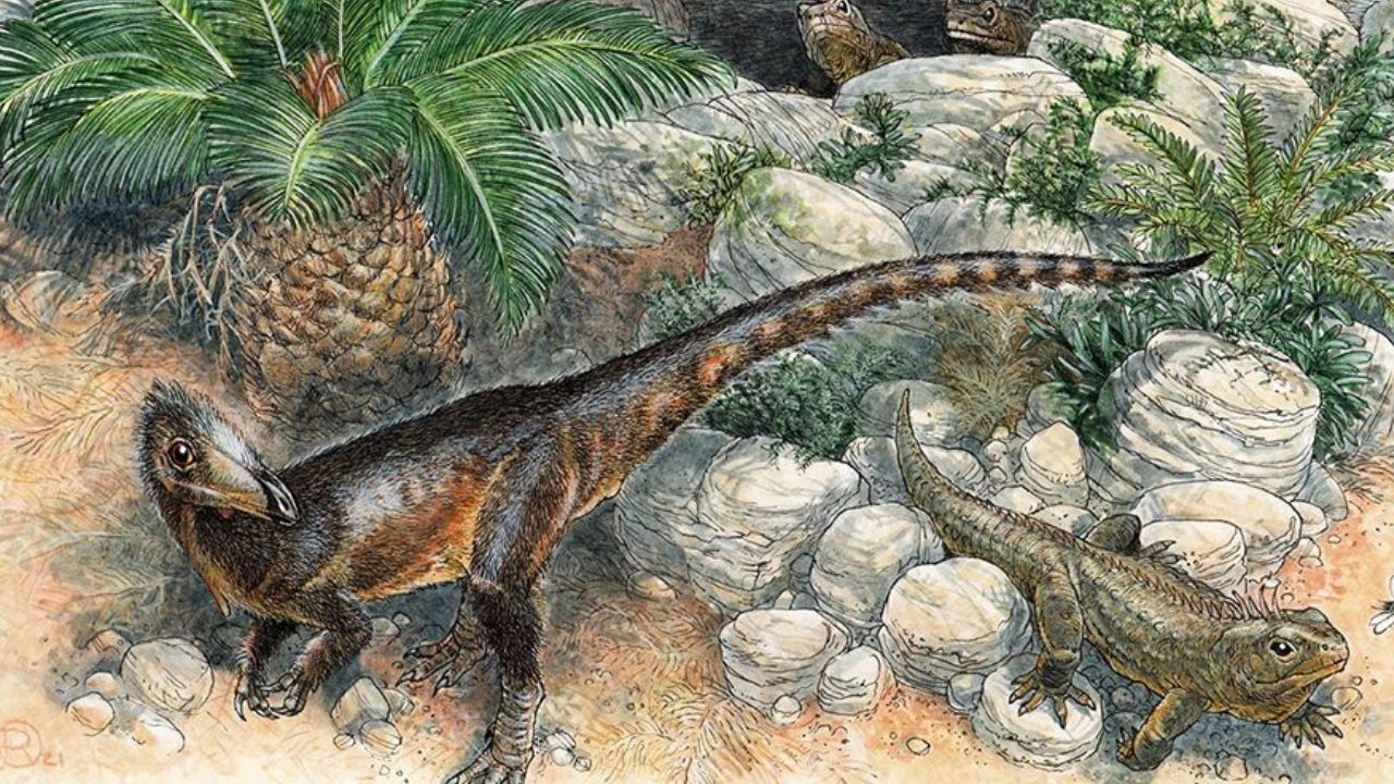 Pesquisadores descobrem espécie de dinossauro carnívoro, parente do T-rex