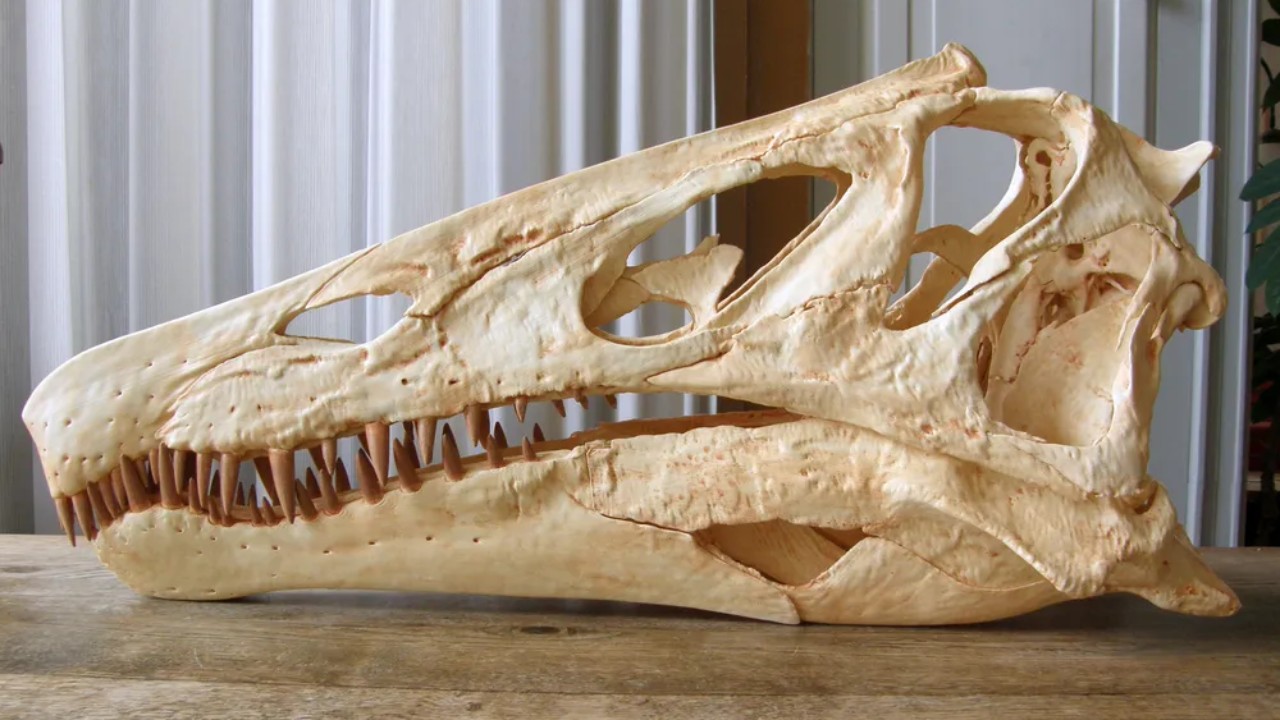 Estudo que tratava de fóssil de dinossauro roubado do Brasil é retirado do ar