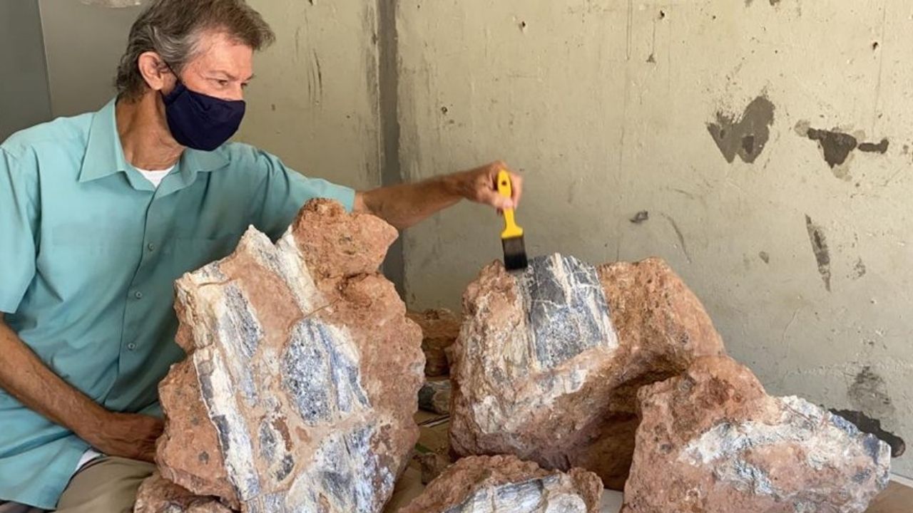 Pesquisadores encontram mais um fóssil de dinossauro durante obras em rodovia