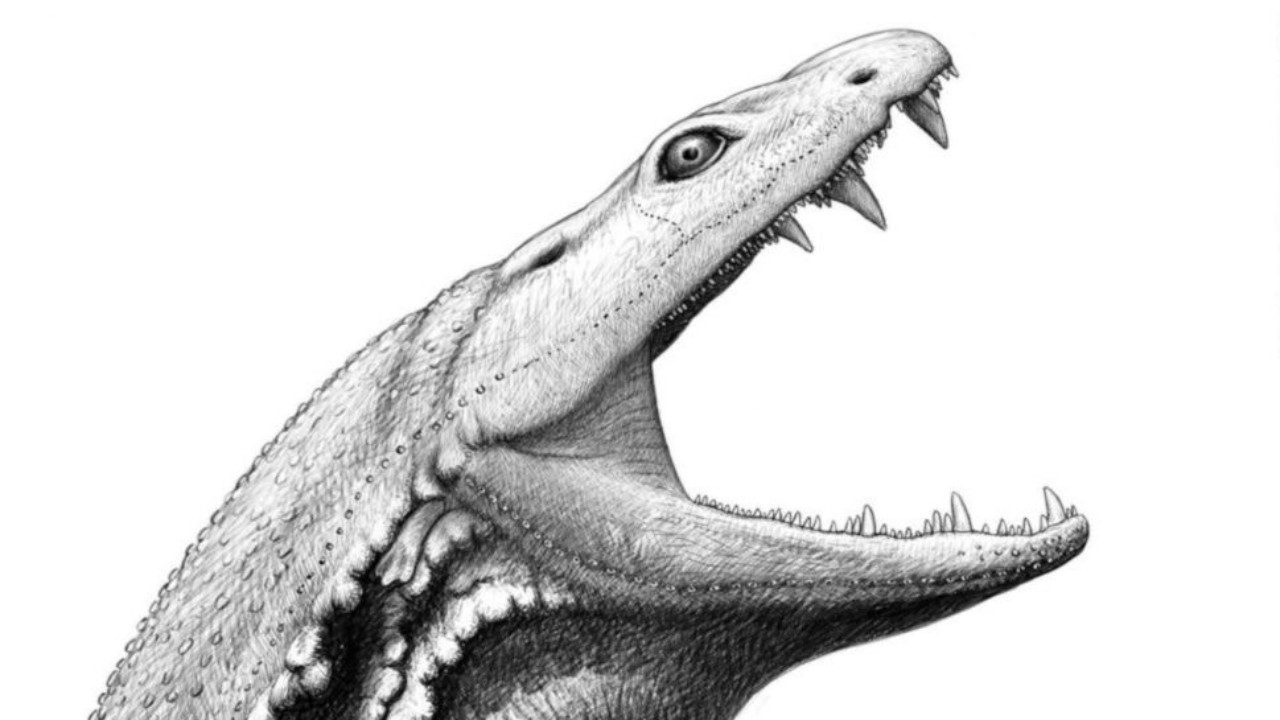 ‘Girino assassino’ anterior aos dinossauros tem rosto reconstruído por cientistas