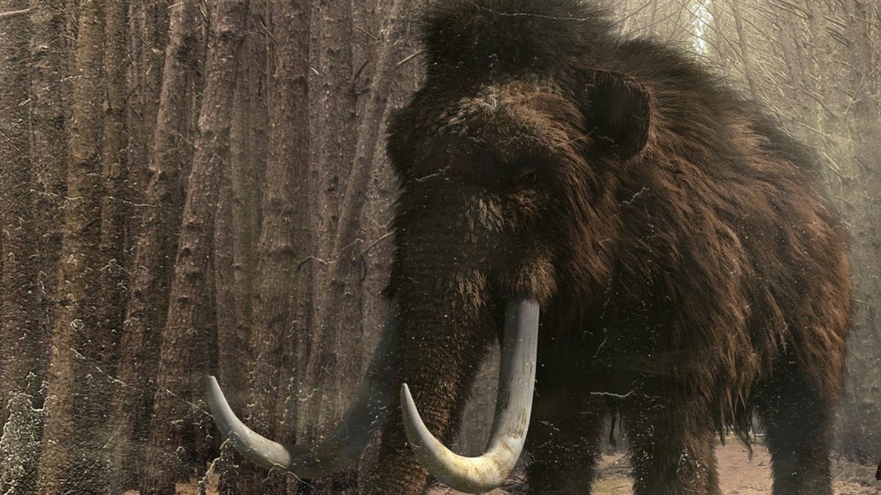 Grandes animais da Era do Gelo viveram por mais tempo do que se achava até então, revela estudo