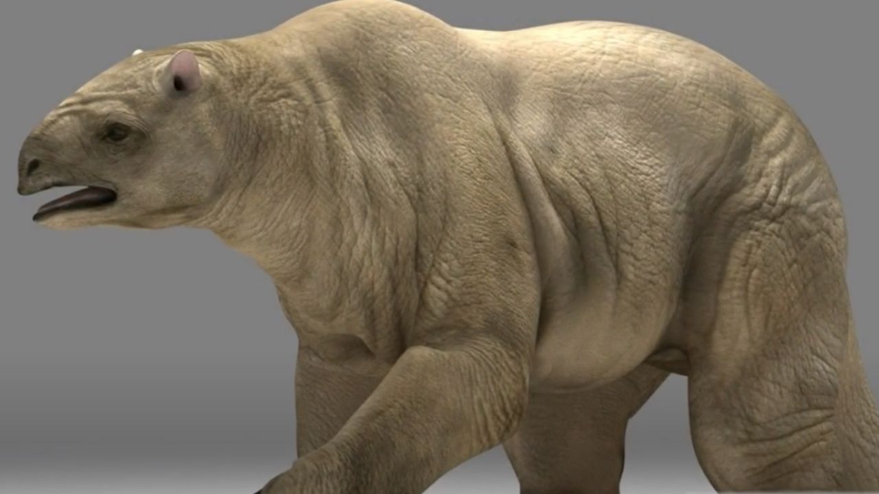Fóssil de preguiça-gigante é achado em parque nacional