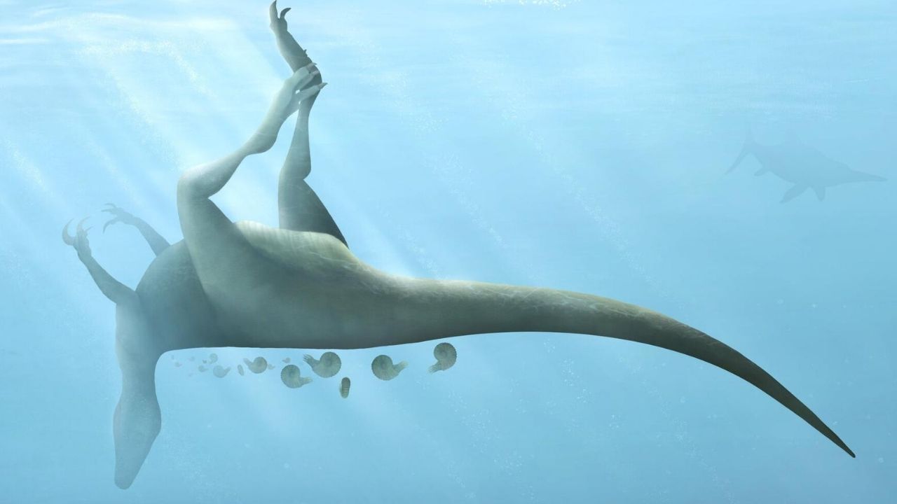 Restos de dinossauro de 115 milhões de anos são descobertos em ilha na Inglaterra