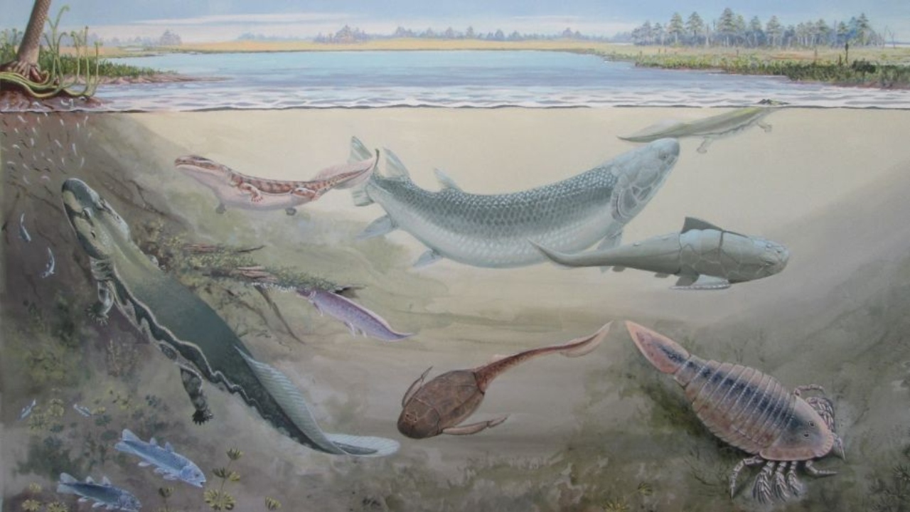 Peixe gigante antigo provavelmente era predador de ancestrais dos humanos