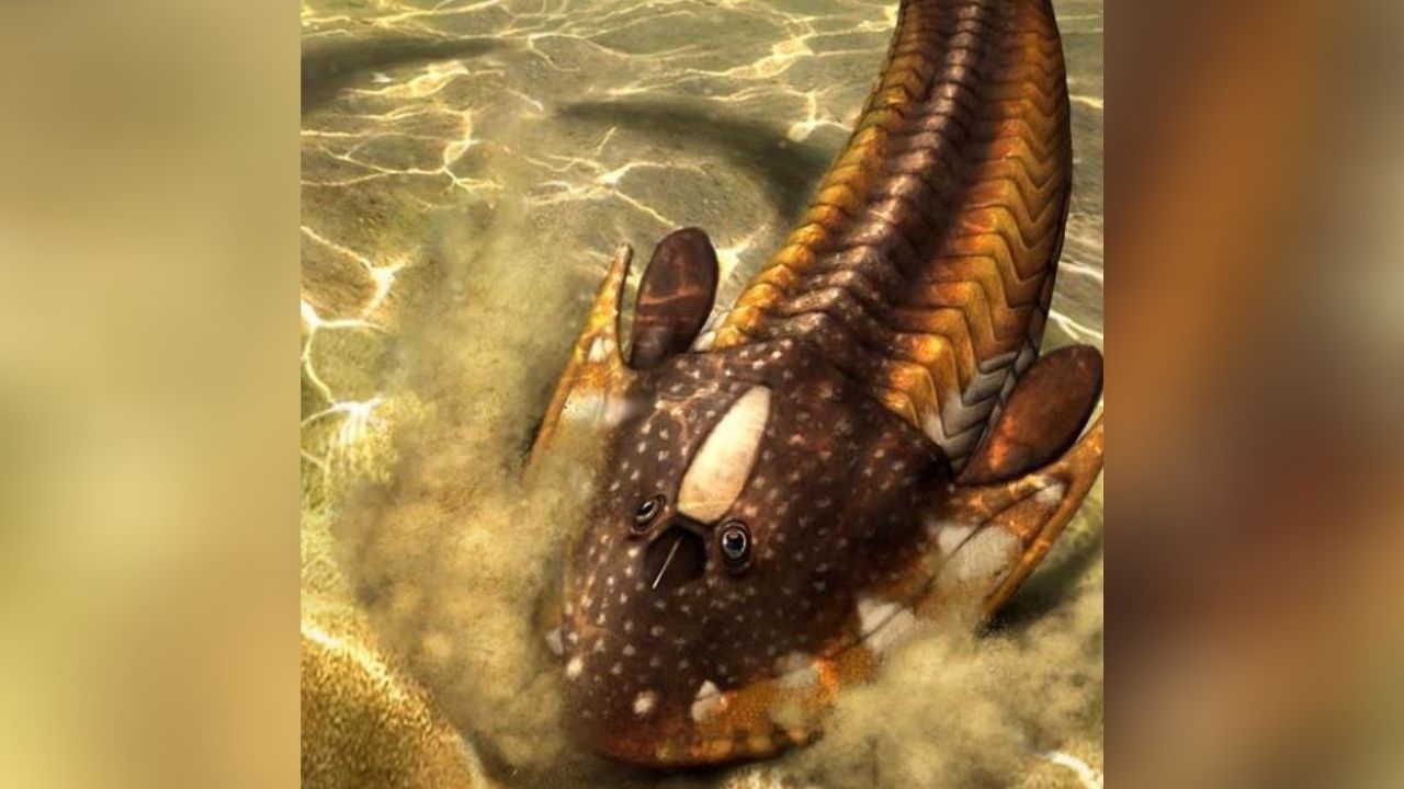 Pesquisadores reproduzem digitalmente peixe sem mandíbula extinto há 400 milhões de anos