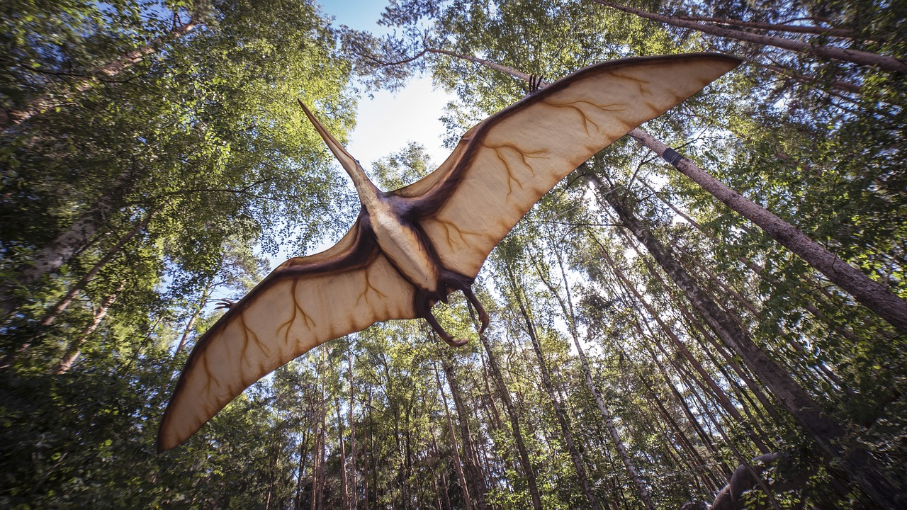 Estudo revela quais eram os pterodátilos que voavam menos do que as galinhas