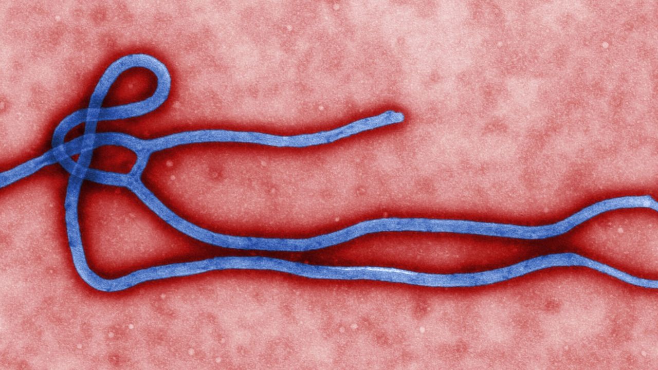 Novo surto de ebola mata 4 pessoas em Guiné e preocupa autoridades