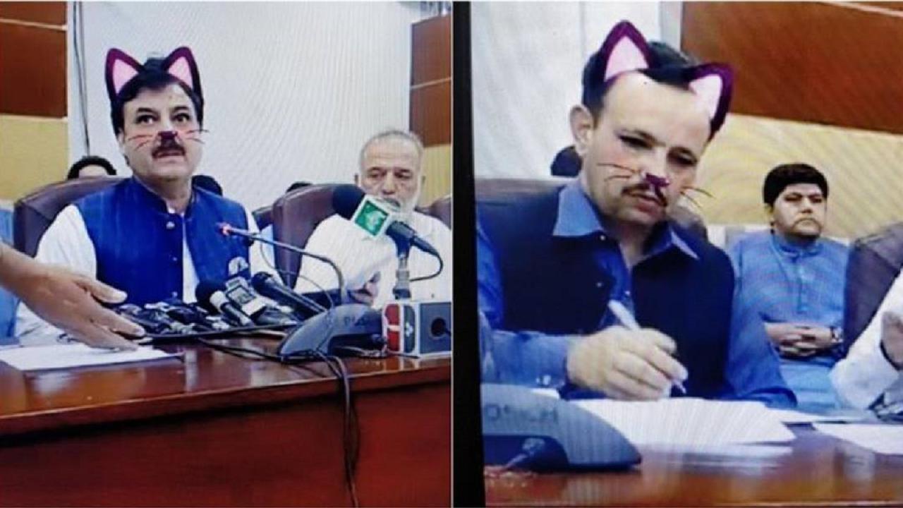 Em live no Facebook, governo do Paquistão esquece de desativar filtro de gatinho e vira meme