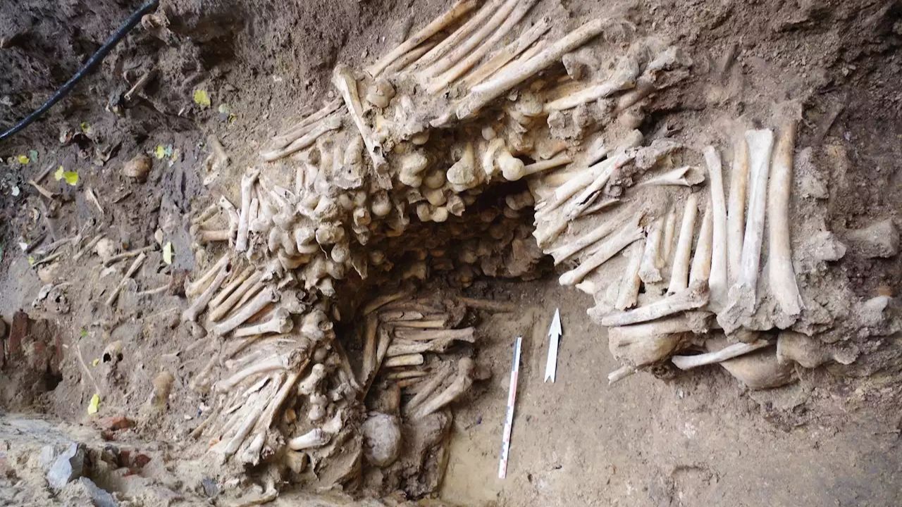 Paredes feitas inteiramente de ossos humanos são descobertas em terreno de catedral na Bélgica