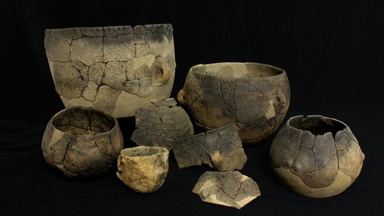 Cerâmicas de 7 mil anos mostram que britânicos foram pioneiros na pecuária leiteira