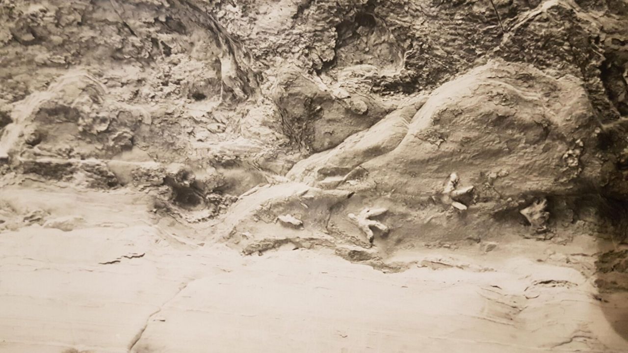 Mistério resolvido: Pesquisador descobre a origem de pegadas de dinossauros em teto de caverna