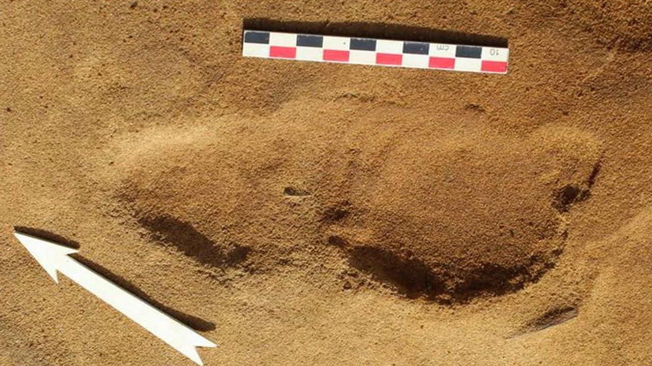 257 pegadas Neandertais de 80 mil anos são encontradas na França