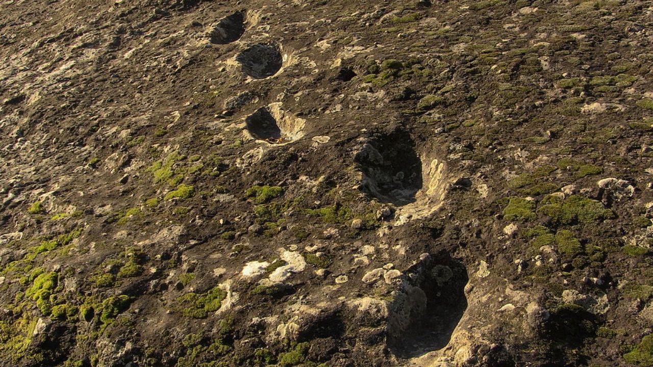 Novas pegadas de neandertais que subiram vulcão na Itália revelam fatos curiosos sobre a espécie