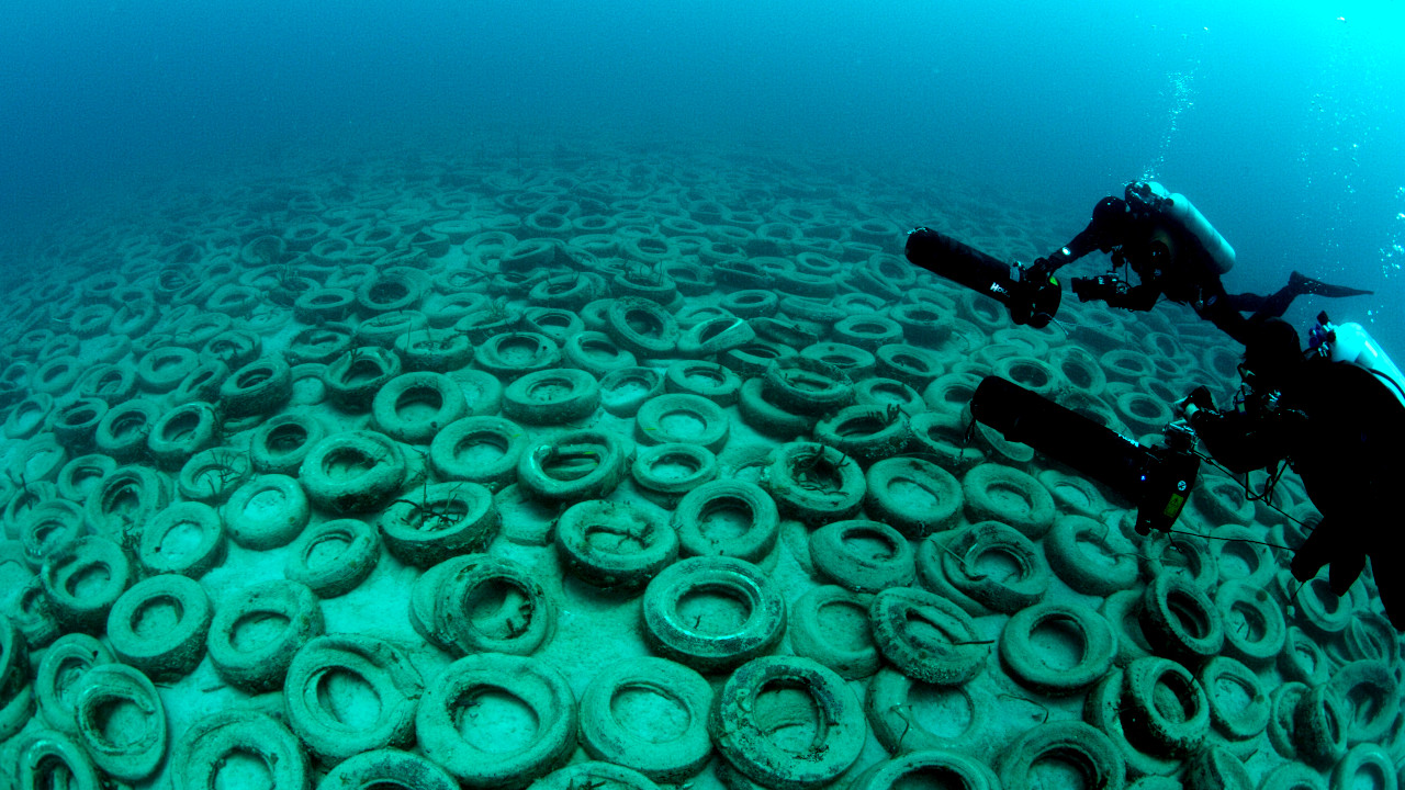 2 milhões de pneus despejados no Oceano: o santuário ecológico que resultou em um deserto no mar
