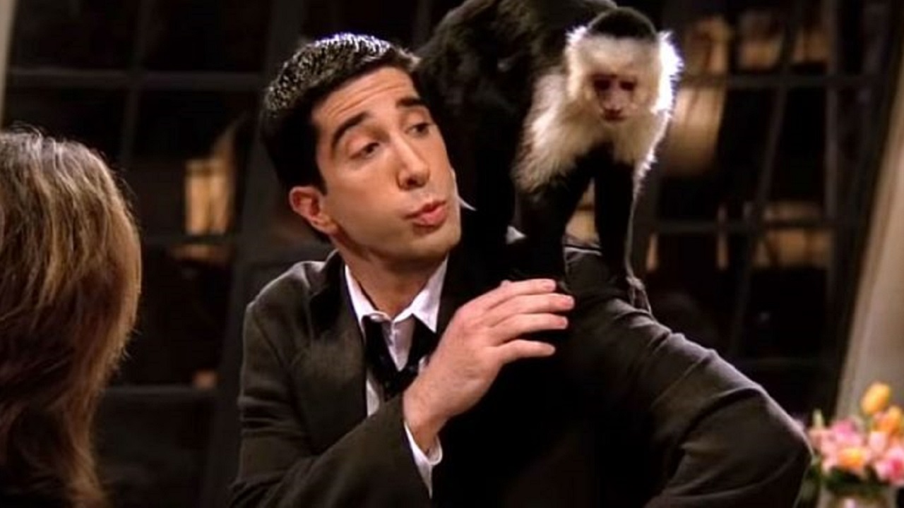 Friends: David Schwimmer, o Ross, ‘odiava’ o macaco Marcel na vida real