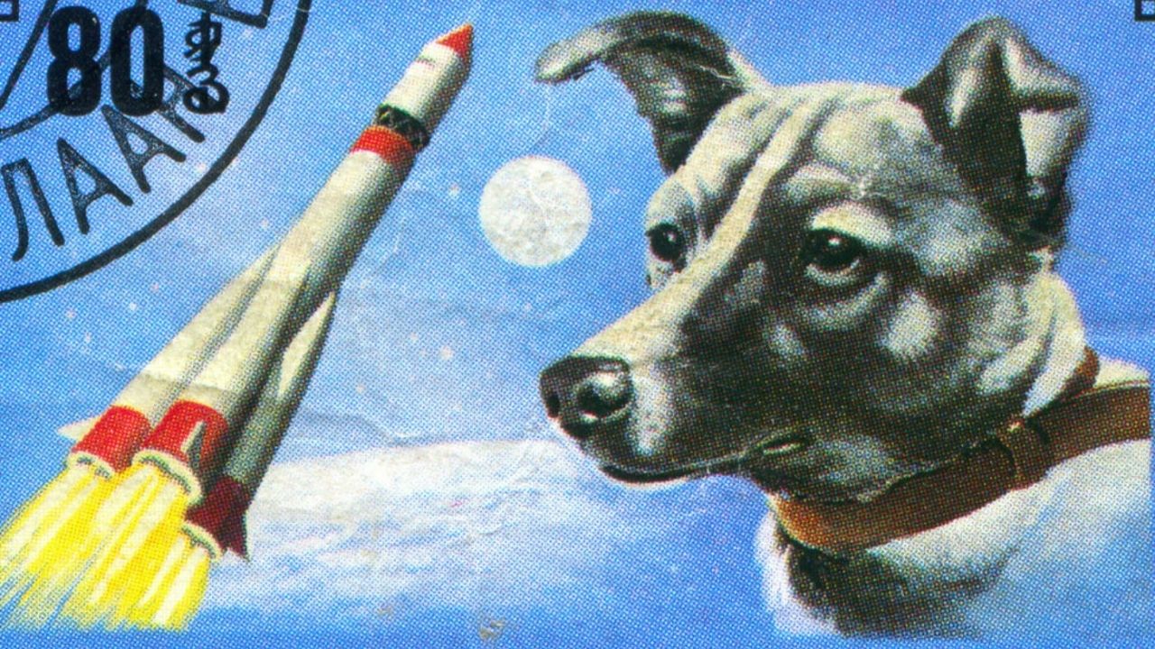 Como foram os momentos finais de Laika, a cadela espacial soviética?