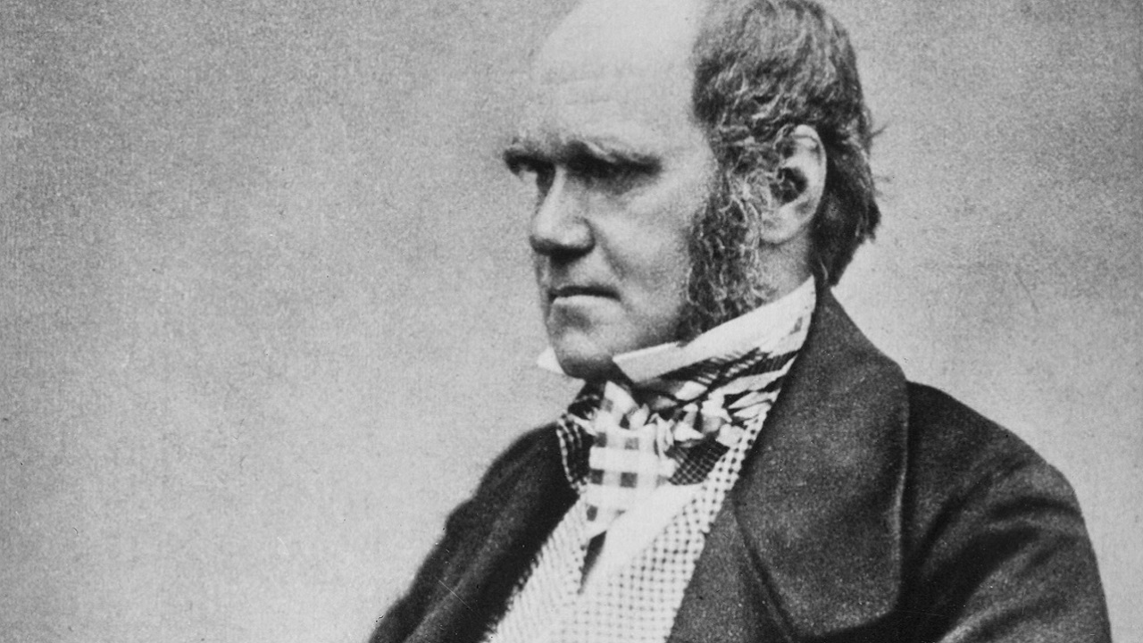 Do carnaval a escravidão: 5 fatos que marcaram a viagem de Darwin ao Brasil
