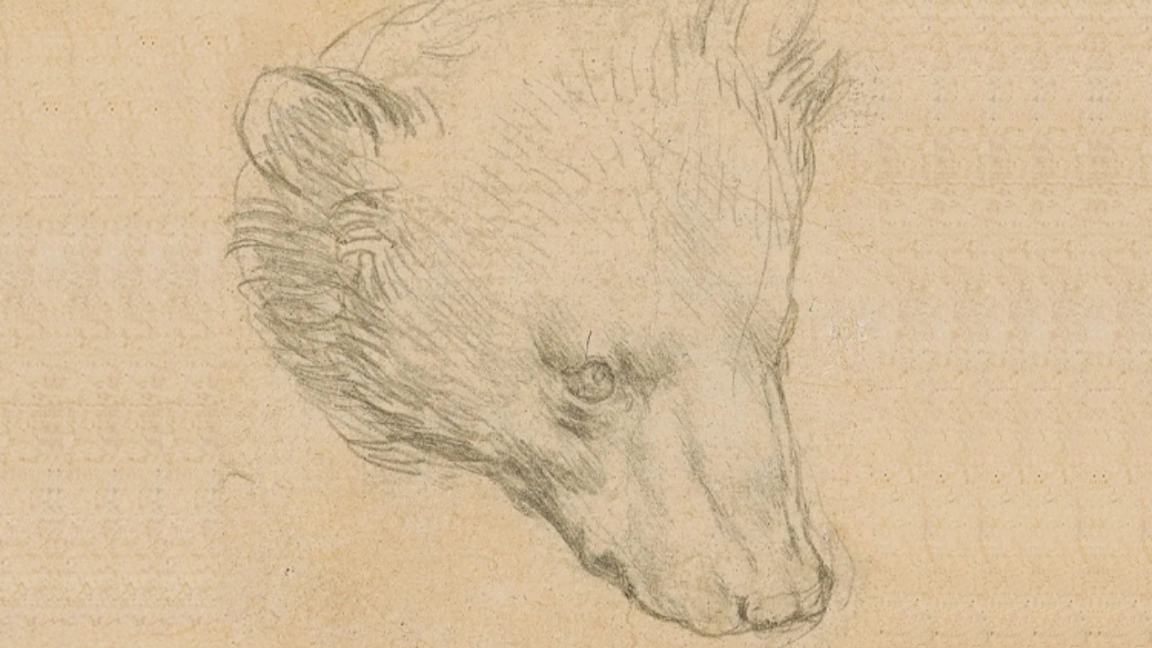 Desenho de da Vinci é leiloado por 7,5 milhões de libras esterlinas