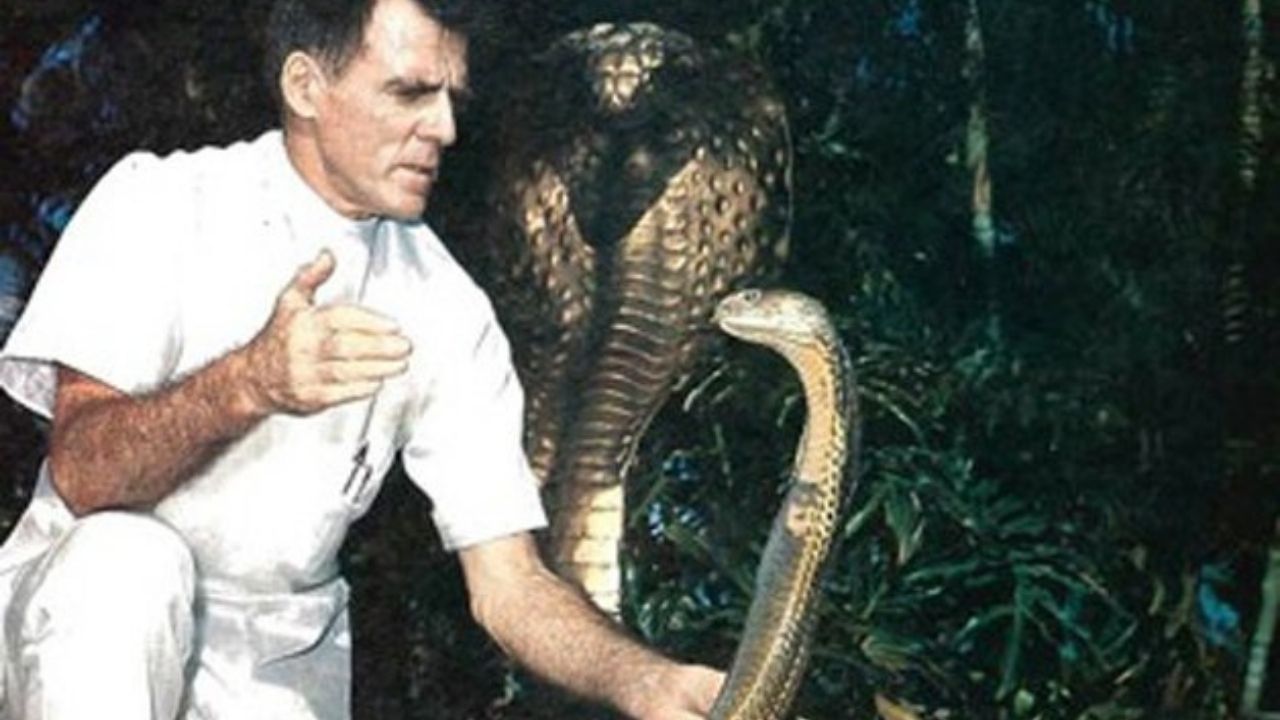 173 picadas de cobras venenosas: A insana história do Homem-cobra