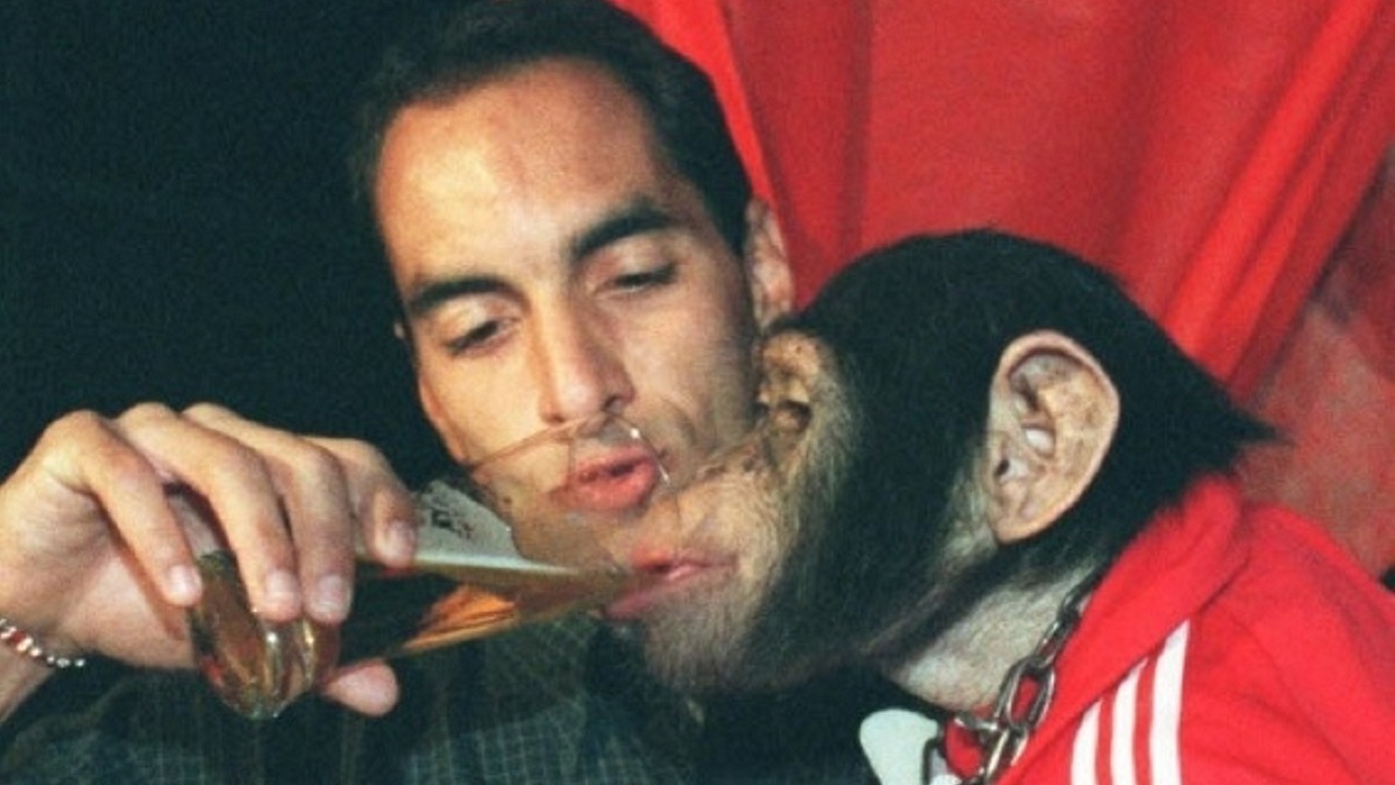 Quando Edmundo se encrencou por dar cerveja para um macaco