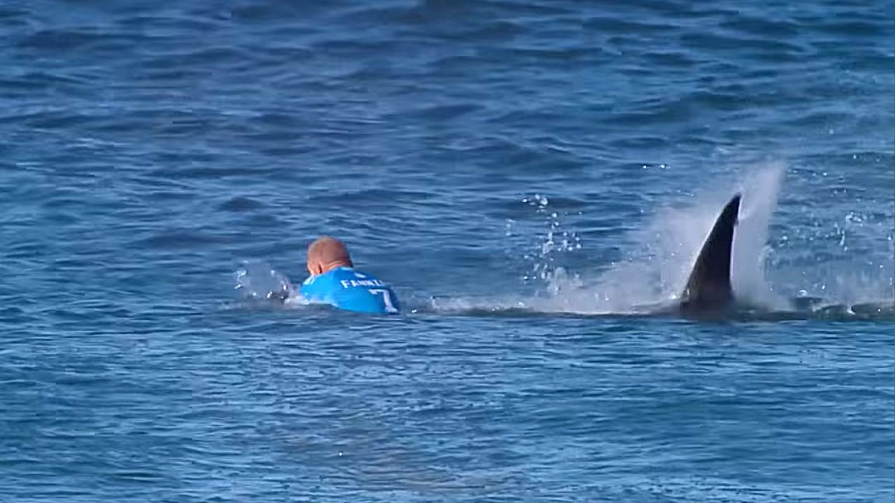 Atacado por um tubarão ao vivo: a saga do surfista Mick Fanning