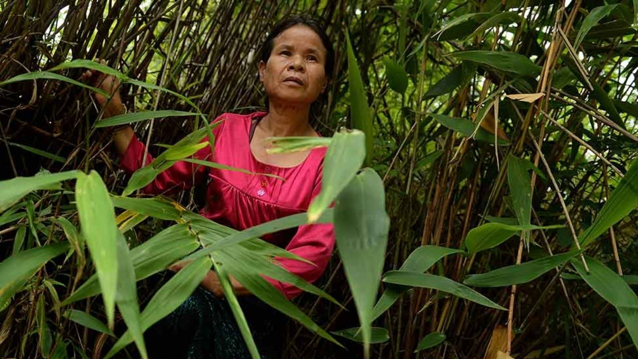 Ng Chhaidy, a jovem que se perdeu na selva de Myanmar por décadas