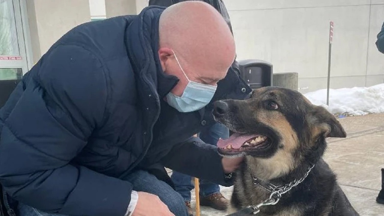 A cachorra rejeitada que salvou a vida do homem que a adotou