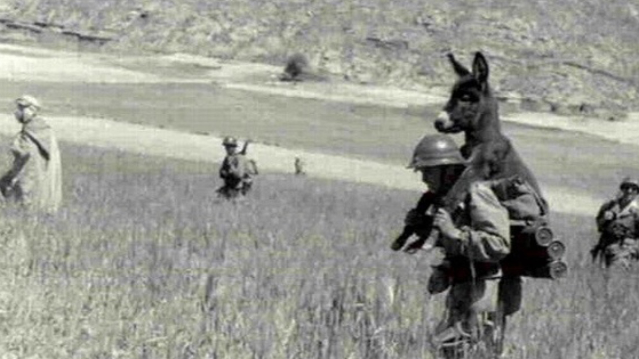 A verdadeira história por trás da foto de um soldado carregando um burro nas costas