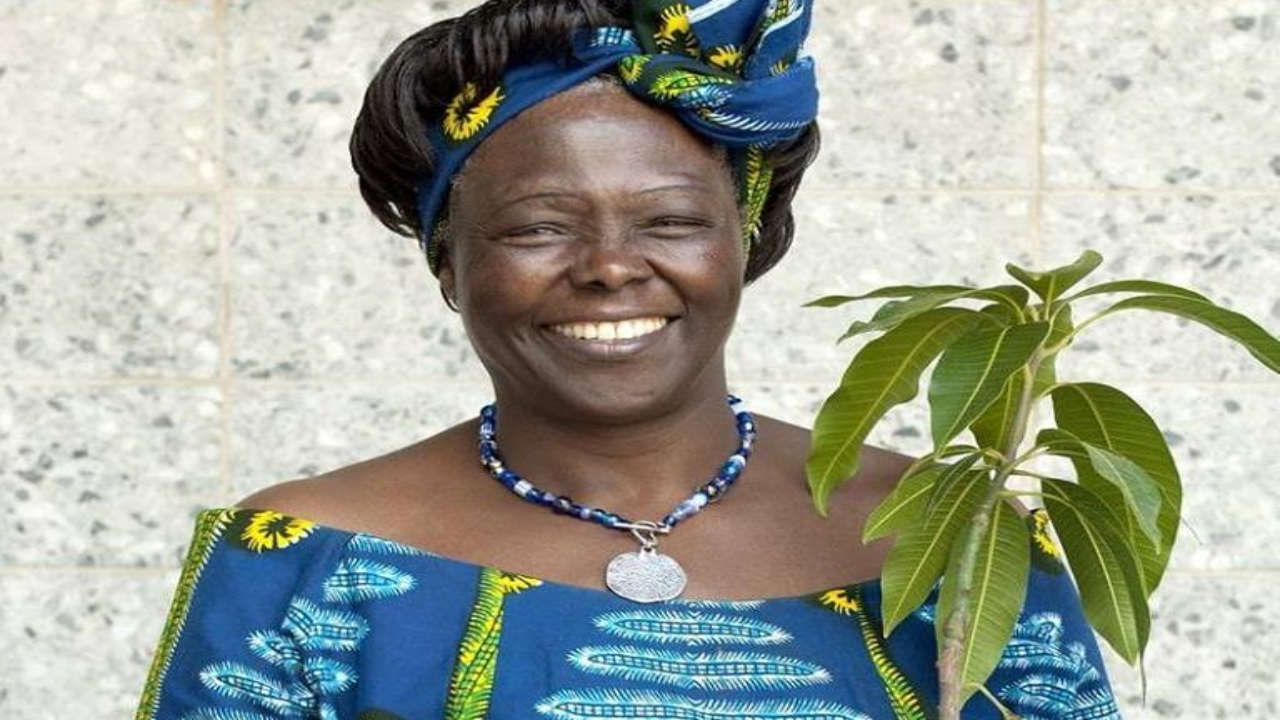 Wangari Maathai, a primeira africana a ganhar um prêmio Nobel