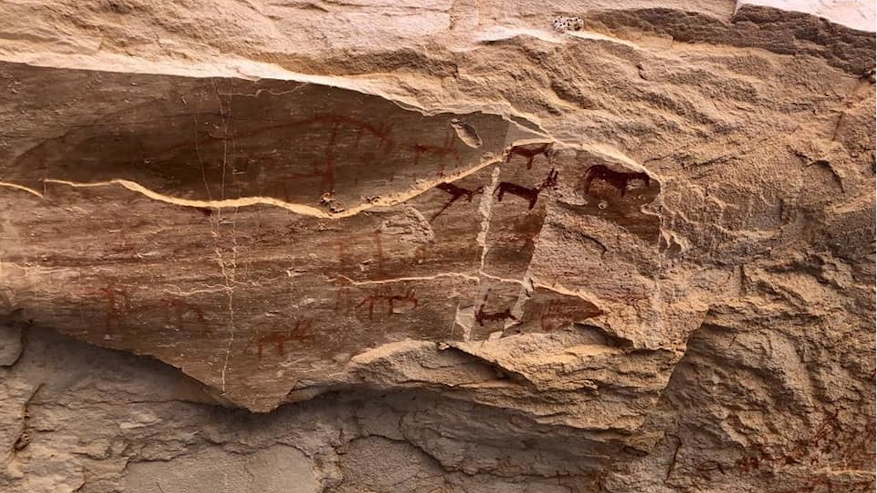 Pinturas rupestres de 10.000 anos a.C. são encontradas no Egito