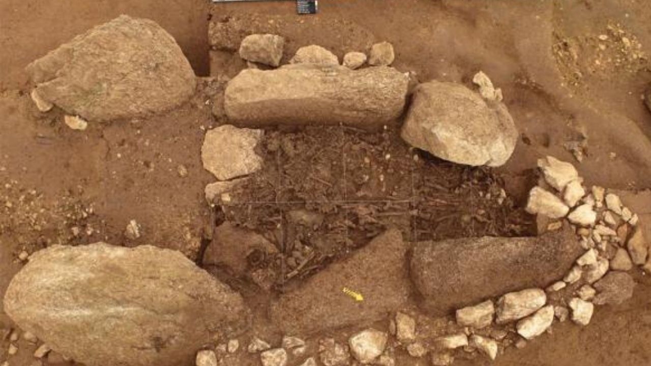 DNA do período neolítico revela característica da cultura Yamnaya