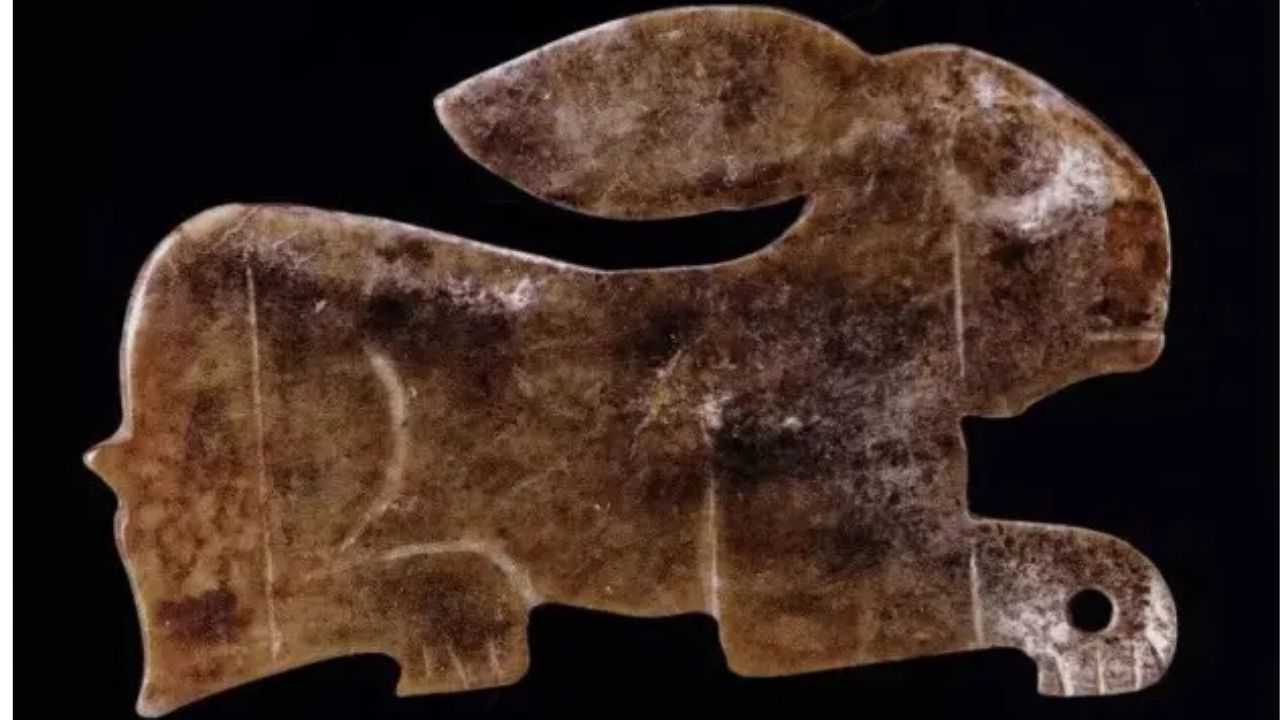 Crenças religiosas faziam povos chineses do neolítico criarem lebres de modo especial, aponta estudo