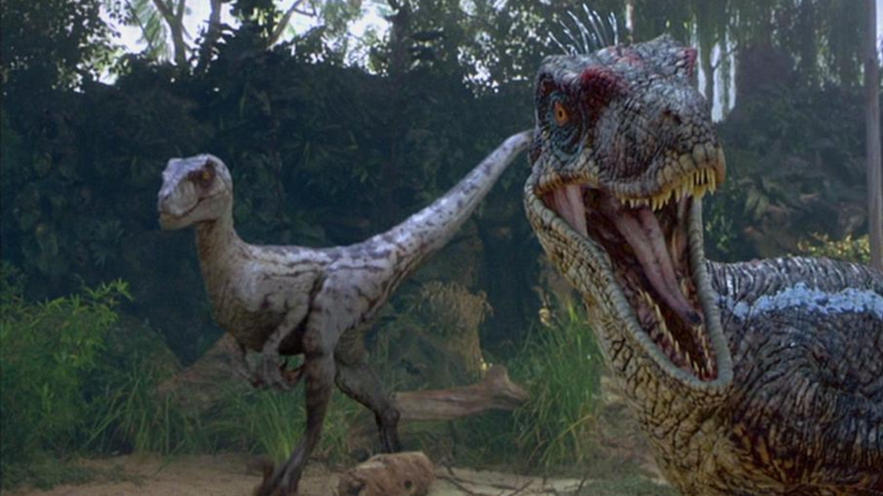 Sem a magia de Jurassic Park: Estudo revela como os velociraptores caçavam