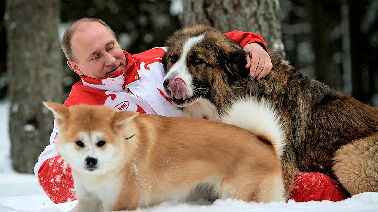 Guardada a sete chaves: A enigmática vida pessoal de Putin