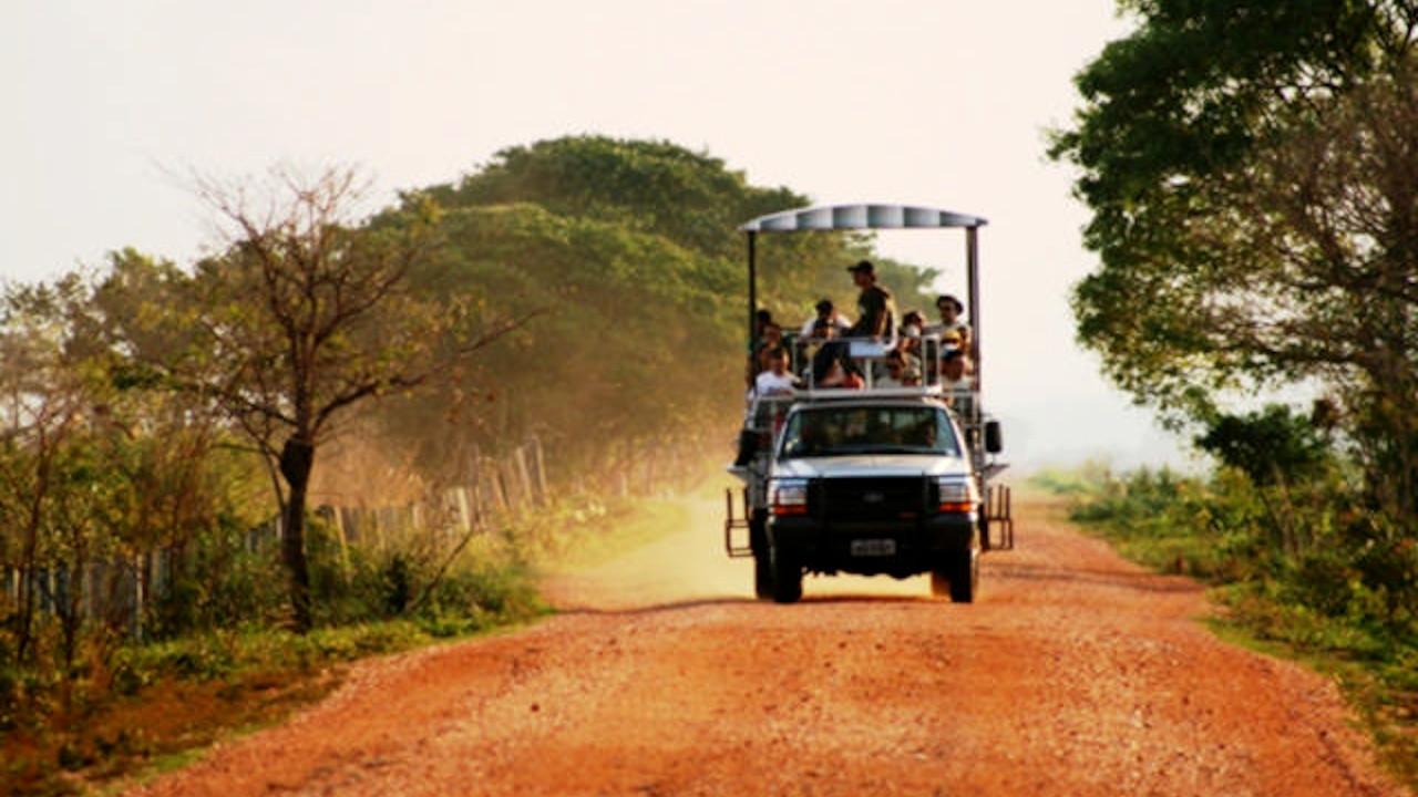 Fazenda São Francisco: um dia no Pantanal
