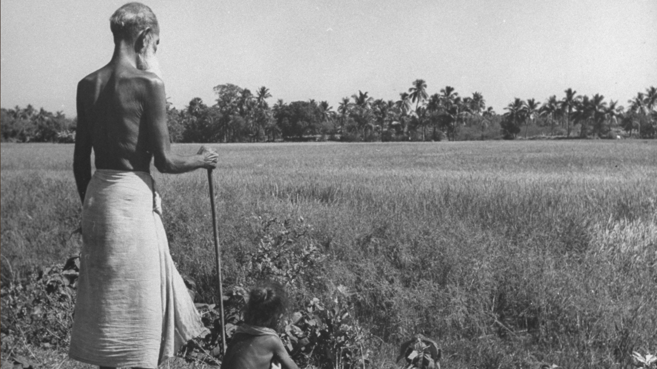 Afinal, Churchill é culpado pela Grande Fome em Bengala, no ano de 1943?