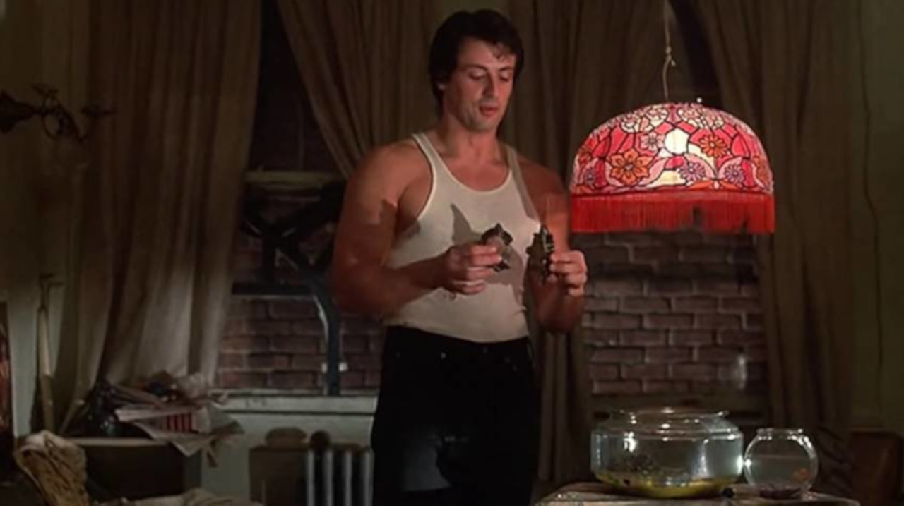Tartarugas do filme Rocky Balboa, de 1976, ainda estão vivas