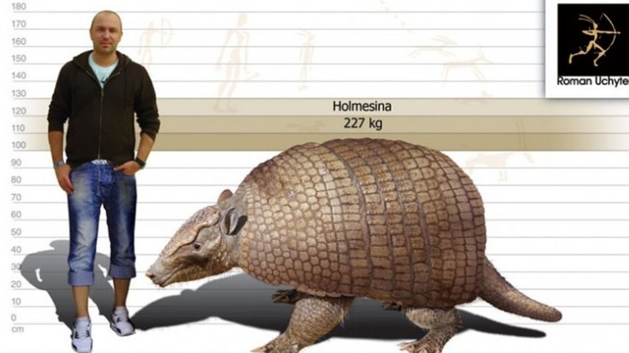 Nova espécie de tatu gigante, que viveu há 21 mil anos, é descoberta no Brasil