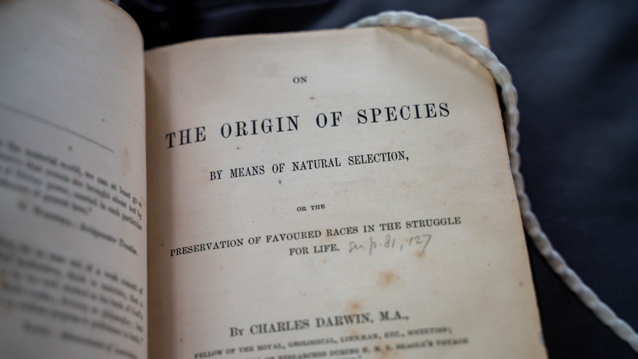 Pesquisadora comprova uma das impressionantes teorias da evolução de Darwin