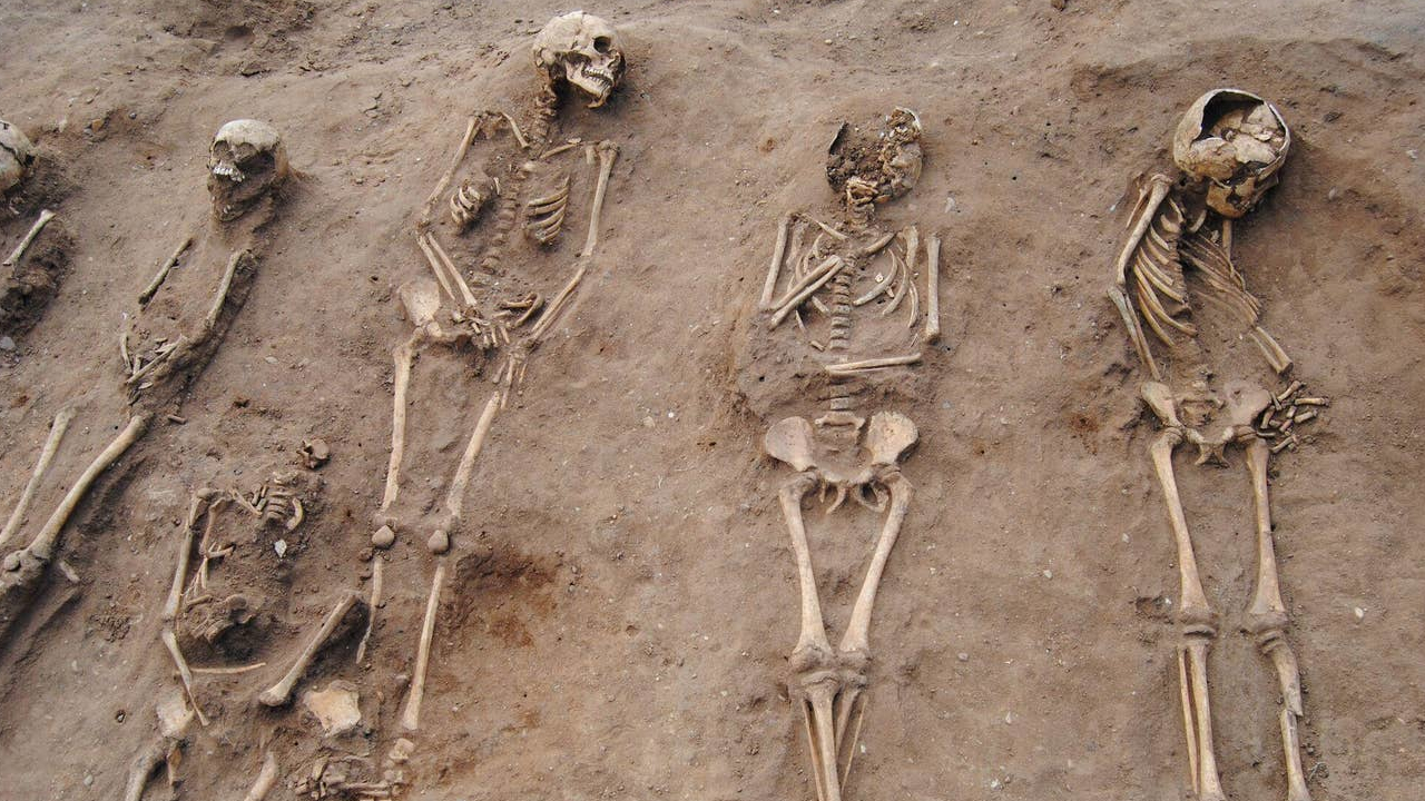 Em descoberta importante, sepultura de 48 pessoas mortas pela Peste Negra é encontrada no Reino Unido