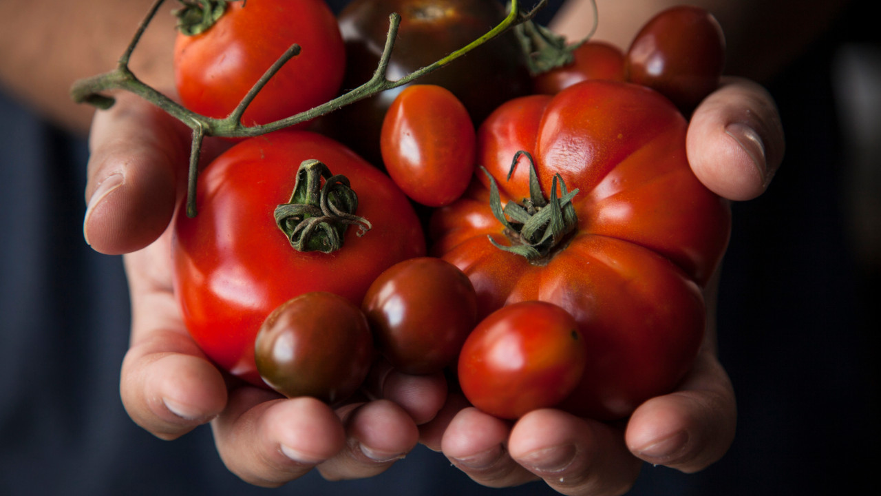Jornalista denuncia escravidão de imigrantes nas produções de tomate na China