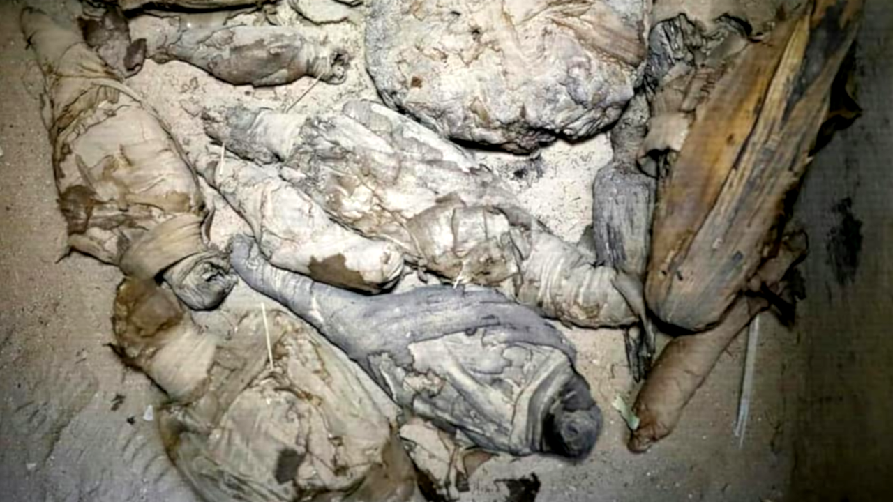 No Cairo, arqueólogos encontram tumba de 2.000 anos com múmias e “zoológico” da era Ptolomaica