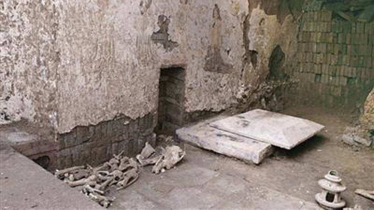 Ossos de burro são encontrados em tumba chinesa da Dinastia Tang