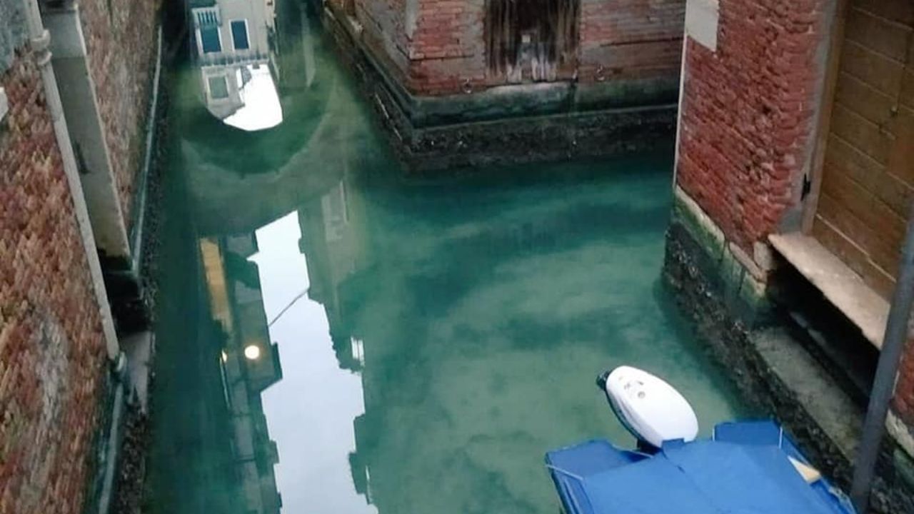 Sem turismo por conta do coronavírus, Veneza volta a ter águas cristalinas