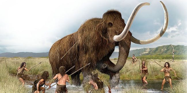 Mamutes lanosos e neandertais compartilhavam traços de DNA